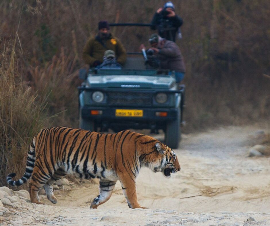 Jim Corbett Tour Packages 